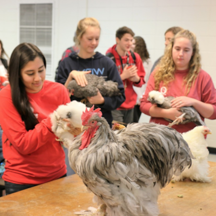 UGA CAES announces high school programs for summer 2018